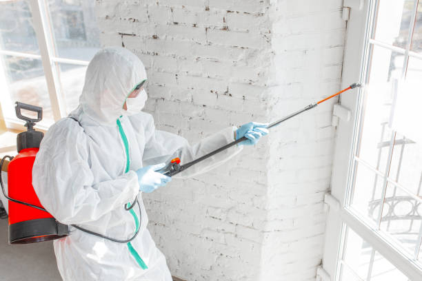 Professional Water damage restoration in Maysville, KY